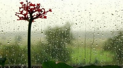 تونس : إنخفاض تدريجي في الحرارة و أمطار في أقصى الشمال 