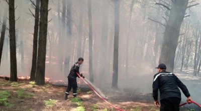 السيطرة على حريق في غابة بعين دراهم