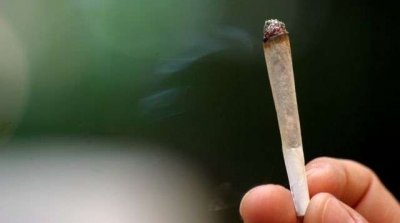 المهدية : مروج مخدرات يزود تلاميذ مدرسة إعدادية بـ''الزطلة''