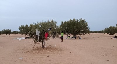 صفاقس : الانطلاق في إزالة مخيمات المهاجرين بالعامرة 