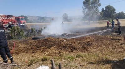 السيطرة على حريق نشب في أحد حقول القمح بجندوبة