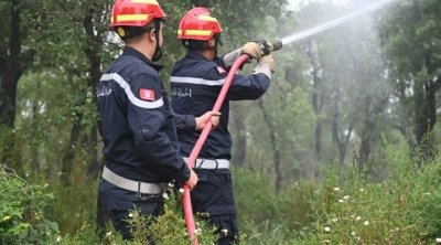 Béja- incendies : 61 hectares de cultures céréalières ravagés