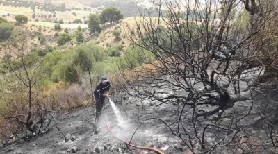 حريق يأتي على 5 هكتارات في جندوبة
