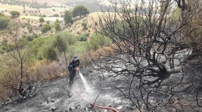 Jendouba : 3 gigantesques incendies se sont déclarés en 24h