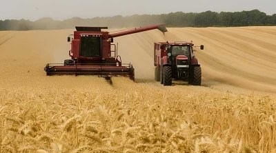 Tunisie : La récolte des céréales avance à Nabeul