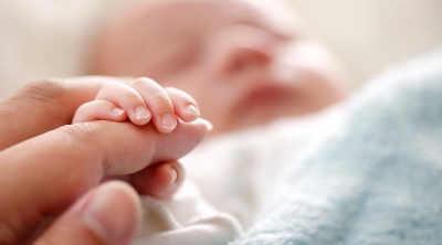 Les congés de maternité, de paternité et de parentalité, devant l’ARP