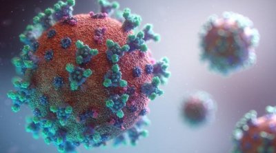 مختص في علم الفيروسات يوصي بالتوقي من عدوى جدري القردة وتكثيف عمليات المراقبة