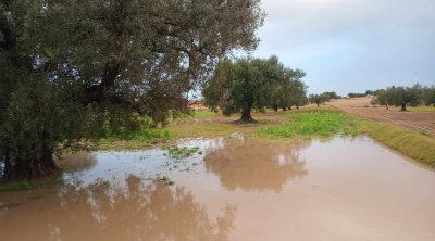 أعلاها بجبنيانة : كميات الأمطار المسجلة خلال 24 ساعة 