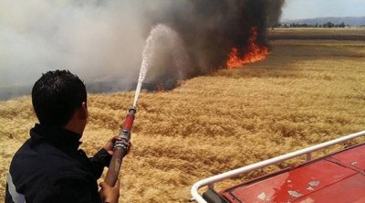 Tunisie : Un incendie ravage plus de 35 ha de cultures céréalières à Béja