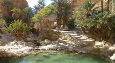 إتفاقية تونسية سعودية لإنشاء قطب واحي بالجنوب التونسي