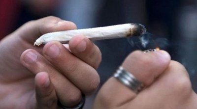 تونس : تضاعف استهلاك ''الزطلة'' لدى المراهقين أربع مرات