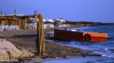 تونس تعتزم إحداث أول محمية بحرية في جزيرة قوريا