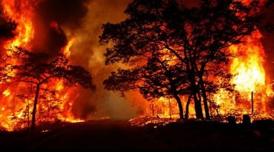 الحماية المدنية : السيطرة على 134 حريقا خلال 24 ساعة