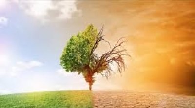 Premières Assises sur l’Adaptation au Climat : Tunis accueille l’événement du 16 au 18 septembre 2025