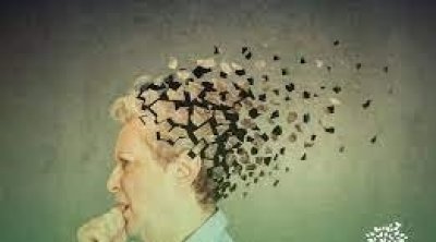 Cité des Sciences : mobilisation autour de la Journée mondiale d' Alzheimer