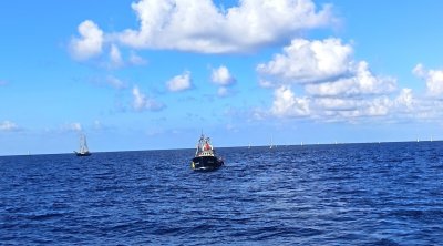 Un Comité international demande à l’ONU de se prononcer sur les attaques israéliennes contre la flottille pour Gaza