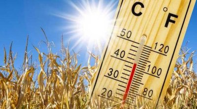 La météo de ce vendredi en Tunisie