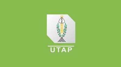 L’UTAP appelle à une mobilisation générale pour la réussite de la saison oléicole 2025