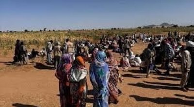 الهجرة الدولية : 7455 نازحا جديدا في الفاشر خلال 24 ساعة