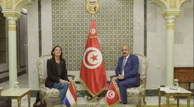 قيس سعيد يوجّه تنبيهًا شديد اللهجة لسفيرة هولندا في تونس