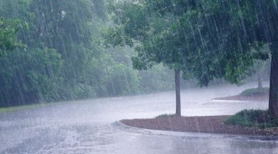 تونس : طقس مغيم وأمطار متفرقة 