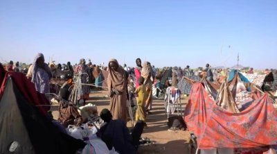 الأمم المتحدة تحذر من مجاعة في إقليم كردفان بالسودان
