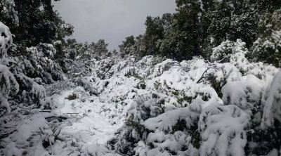 الليلة: أمطار رعدية وثلوج مرتقبة بالمرتفعات