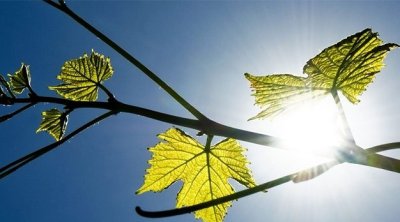 Météo du mercredi : nuages, vent fort et températures jusqu’à 18°C
