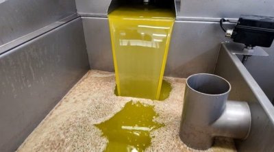 تونس ... السعر المرجعي لزيت الزيتون عند 10.200 د