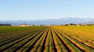 Agriculture : des mesures urgentes pour sécuriser la campagne 2025-2026