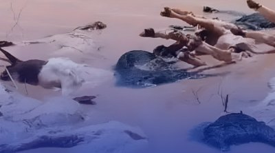 نفوق 78 رأس غنم في بنزرت بسبب الفيضانات