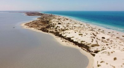 جمعية بيئية تحذّر من تآكل الشواطئ التونسية