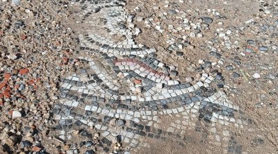 الهوارية : فسيفساء أثرية تظهر بعد الأمطار الأخيرة (صور)