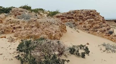 بالصور : اكتشاف فسيفساء ومواقع أثرية جديدة في بنزرت