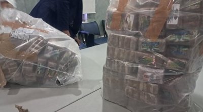 Tunisie : Destruction de 538 kilogrammes de cannabis 