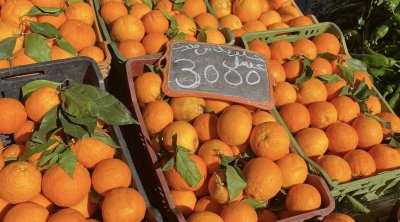 Ramadan : Ouverture d’un point direct producteur‑consommateur à Carthage