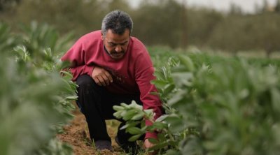 تونس تطلق خط تمويل بقيمة 20 مليون دينار لدعم المشاريع الخضراء