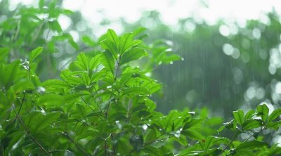 ارتفاع درجات الحرارة اليوم في تونس