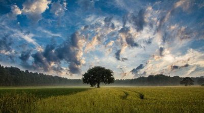 طقس تونس: انخفاض في الحرارة وأمطار متفرقة