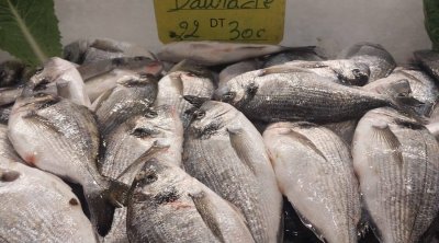 تونس: حجز 400 طن من المواد الغذائية الفاسدة منذ بداية رمضان