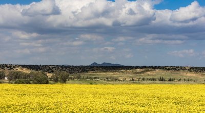 تونس : سحب عابرة على كامل البلاد وأمطار في الشمال