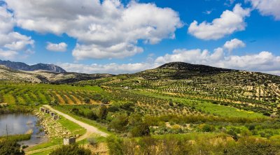 Tunisie : Températures en légère hausse ce mercredi