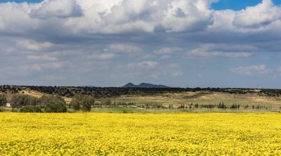 Tunisie : Le ciel nuageux et les températures relativement stables