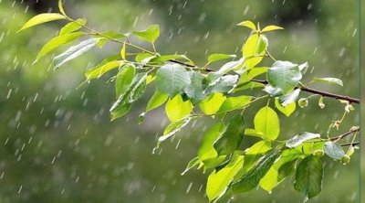 Temps instable ce vendredi : pluies au nord et mer agitée
