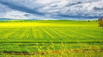 تونس : ارتفاع درجات الحرارة اليوم 