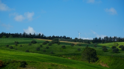 تونس : الحرارة في ارتفاع طفيف اليوم الجمعة 