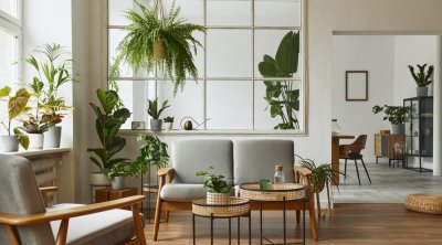 من نبتة صغيرة إلى أسلوب حياة: كيف تغيّر النباتات يومك بهدوء؟