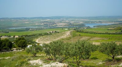 تونس : أمطار متفرقة والحرارة في ارتفاع طفيف