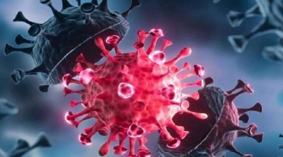 بسبب مخاوف من متحوّر كورونا الجديد : أمريكا تفرض قيود السفر على ثماني دول إفريقية