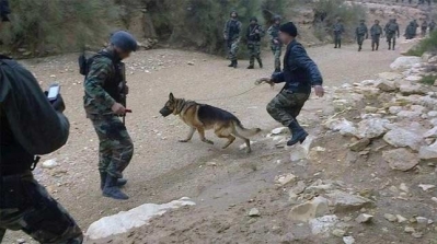 جبل الشعانبي : الارهابيين قاموا بقطع رؤوس 3 جنود